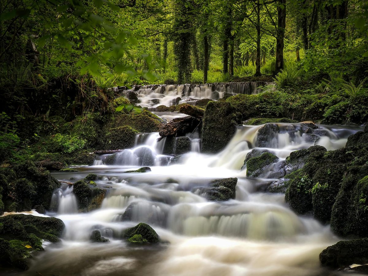 Pollaphuca Waterfall