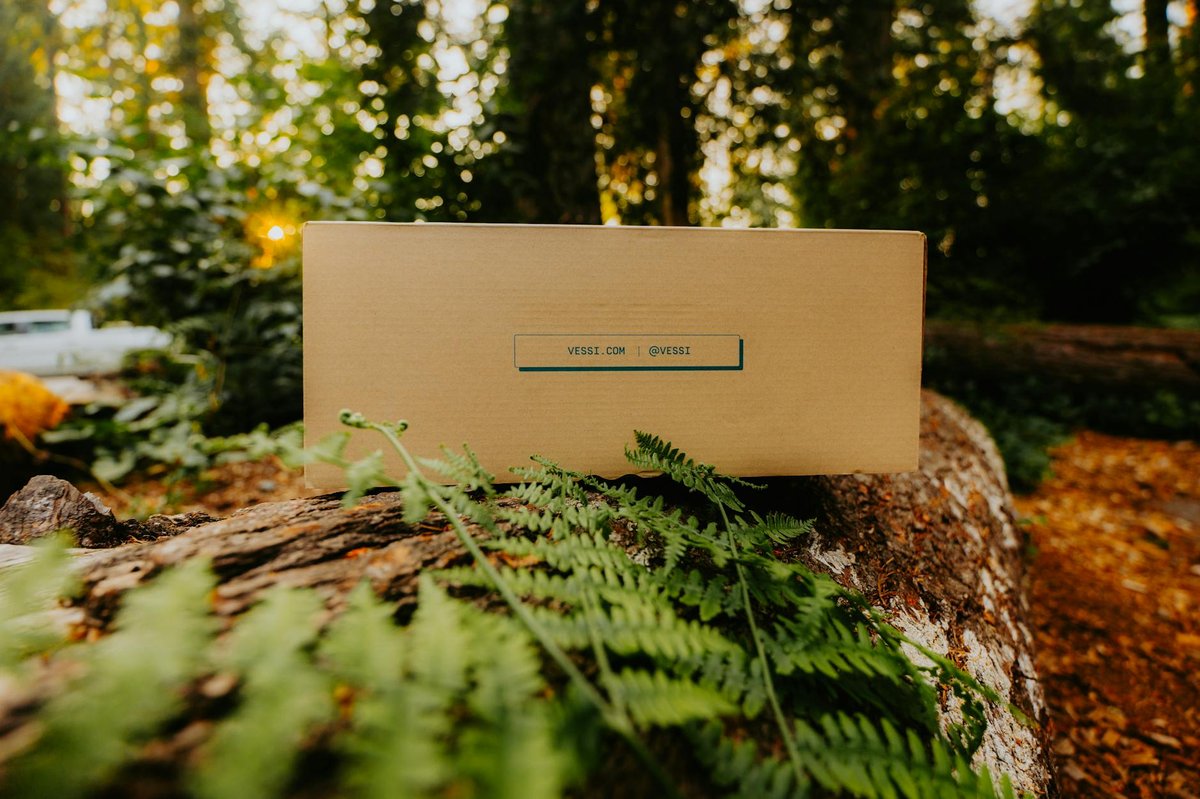Box Log Falls