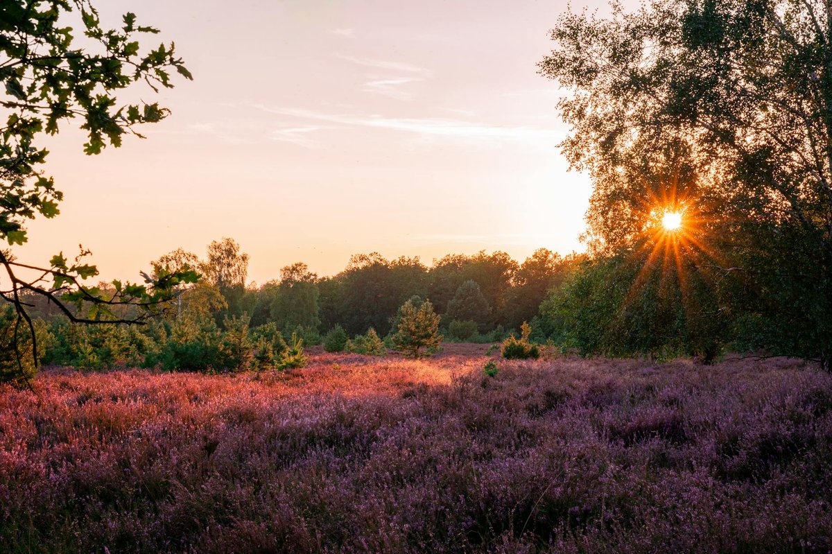 Big Heath National Park