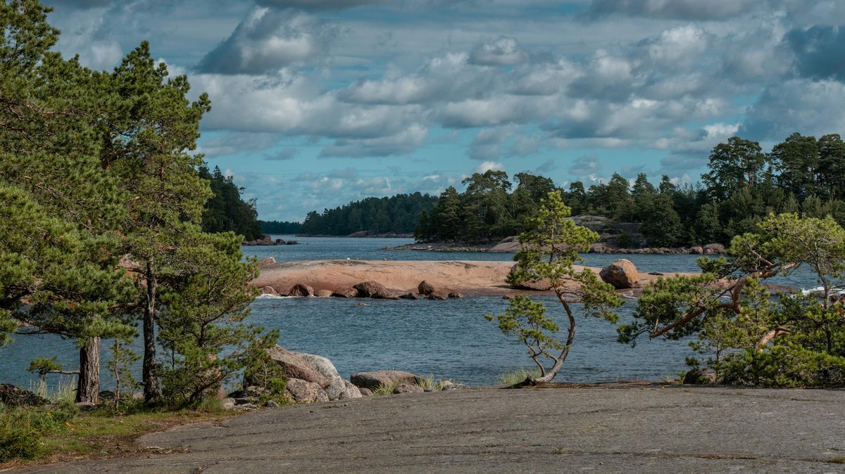 Lavivaara