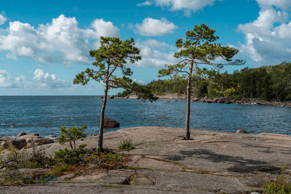 Eastern Gulf of Finland National Park