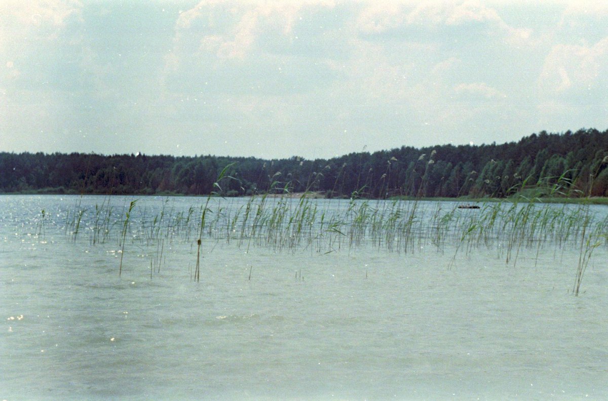 Danau Allibagis