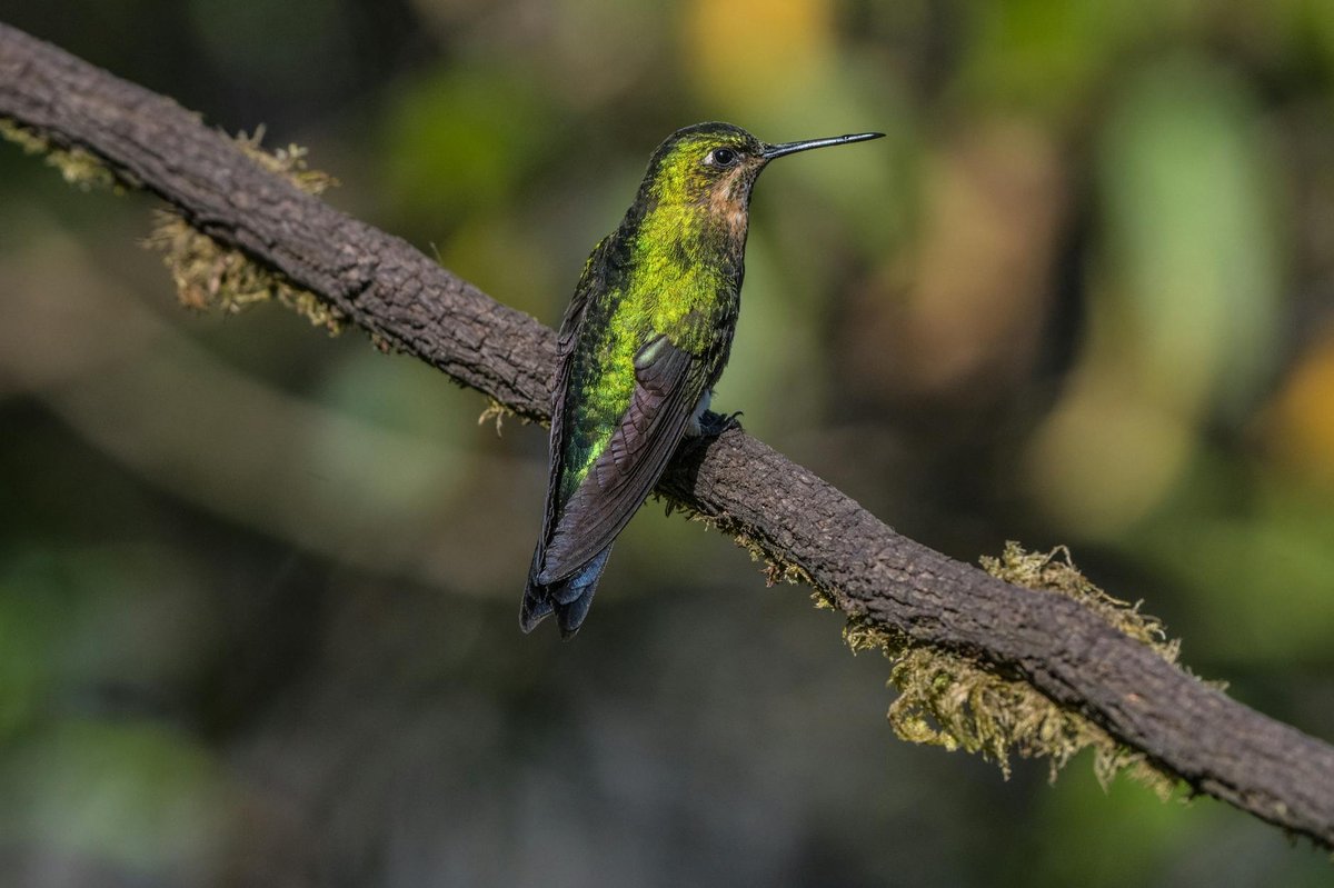 Sierra Nevada de Santa Marta National Park