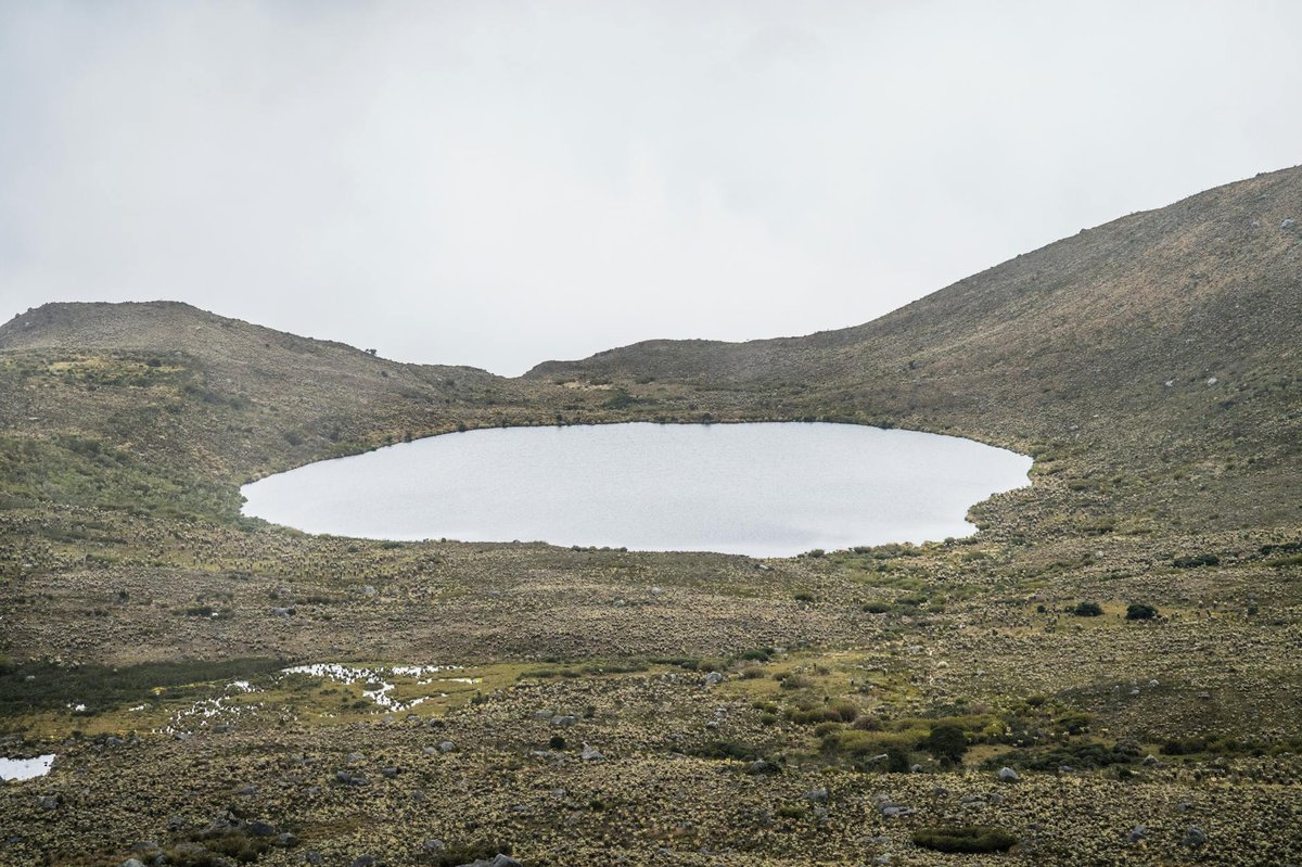 Alto Caldera