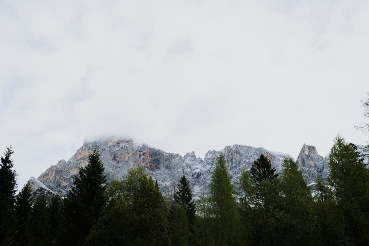 Sila National Park