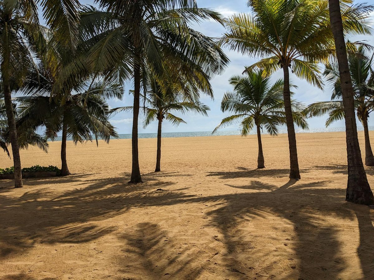 Palma Beach
