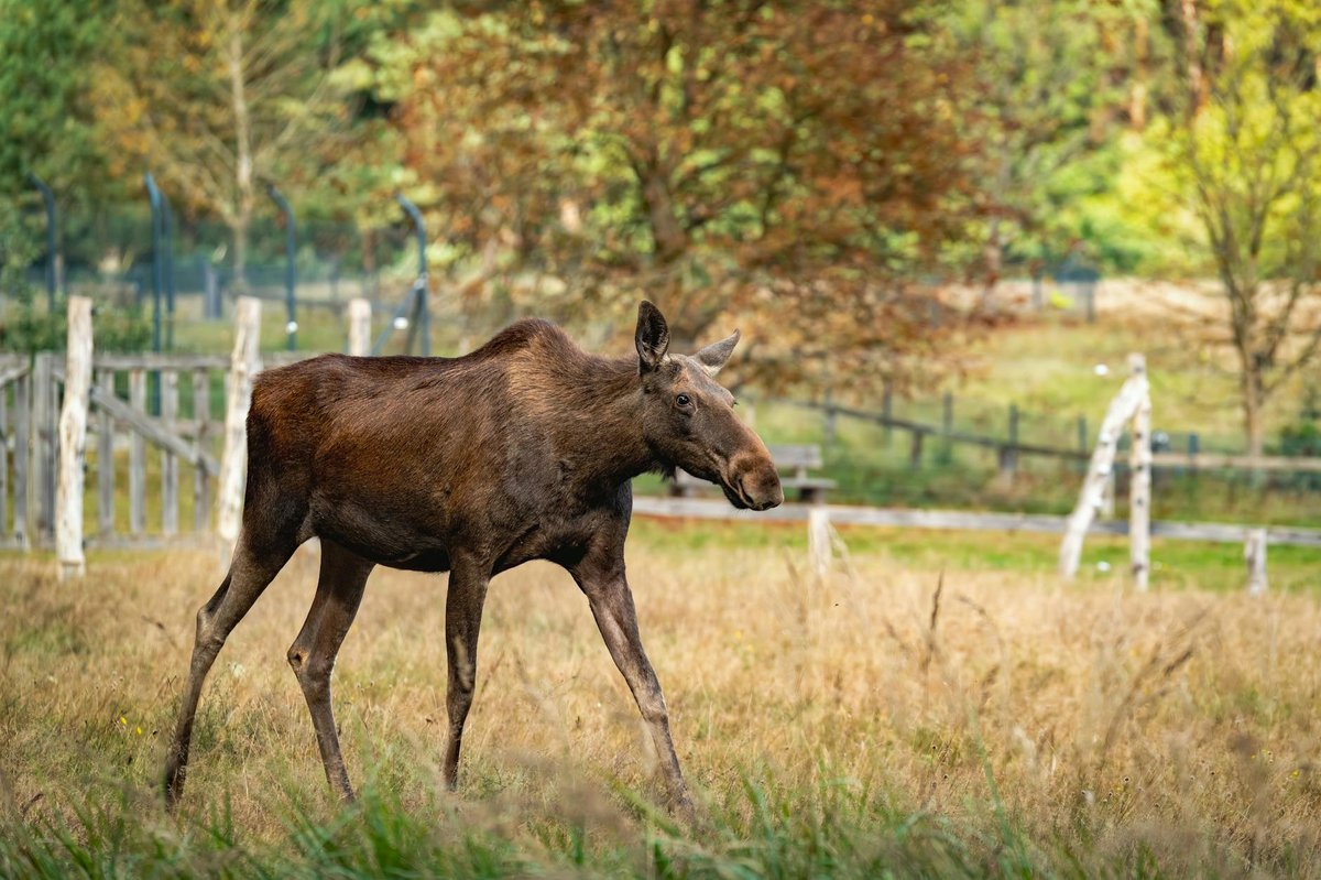 Elk Island National Park