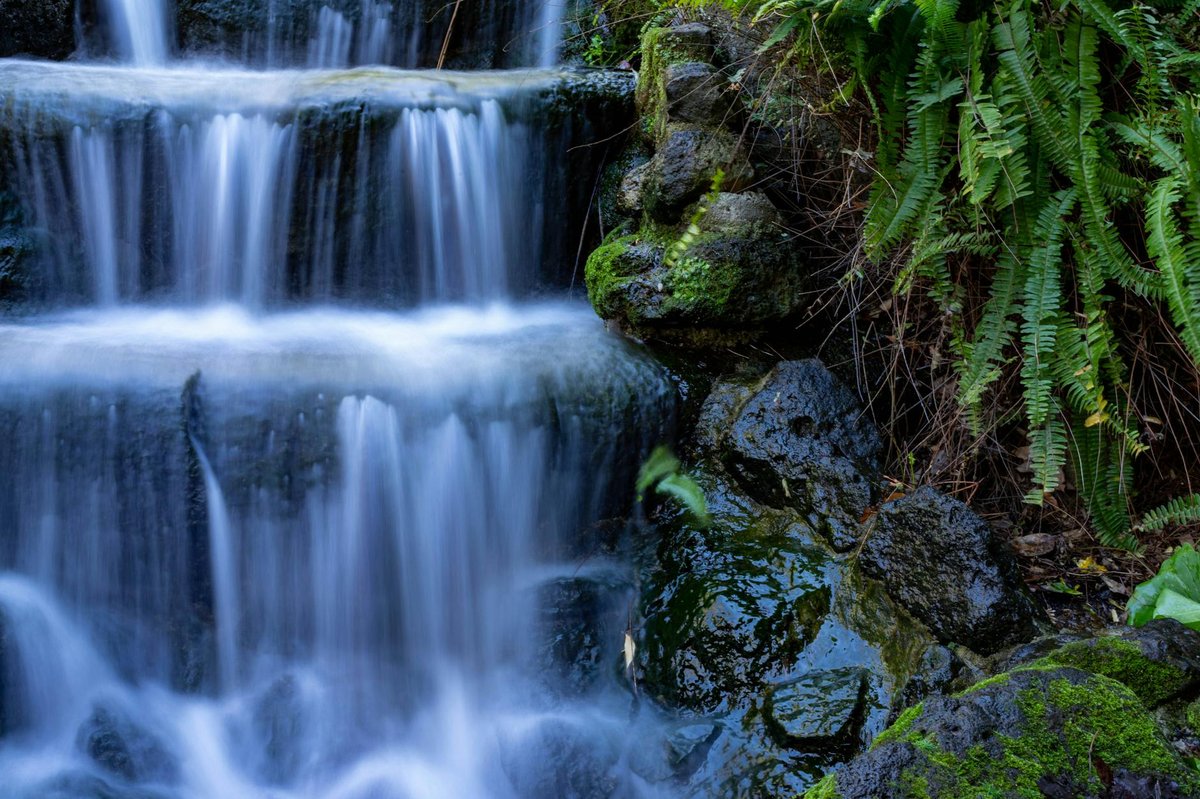Charlie’s Rock Waterfall