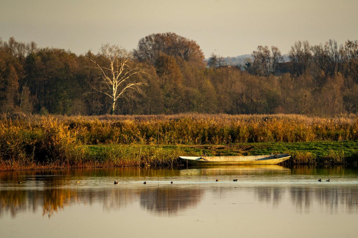 Lake Dubrava