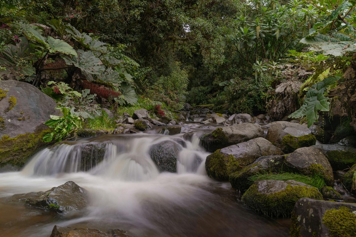 Cerro El Hacha