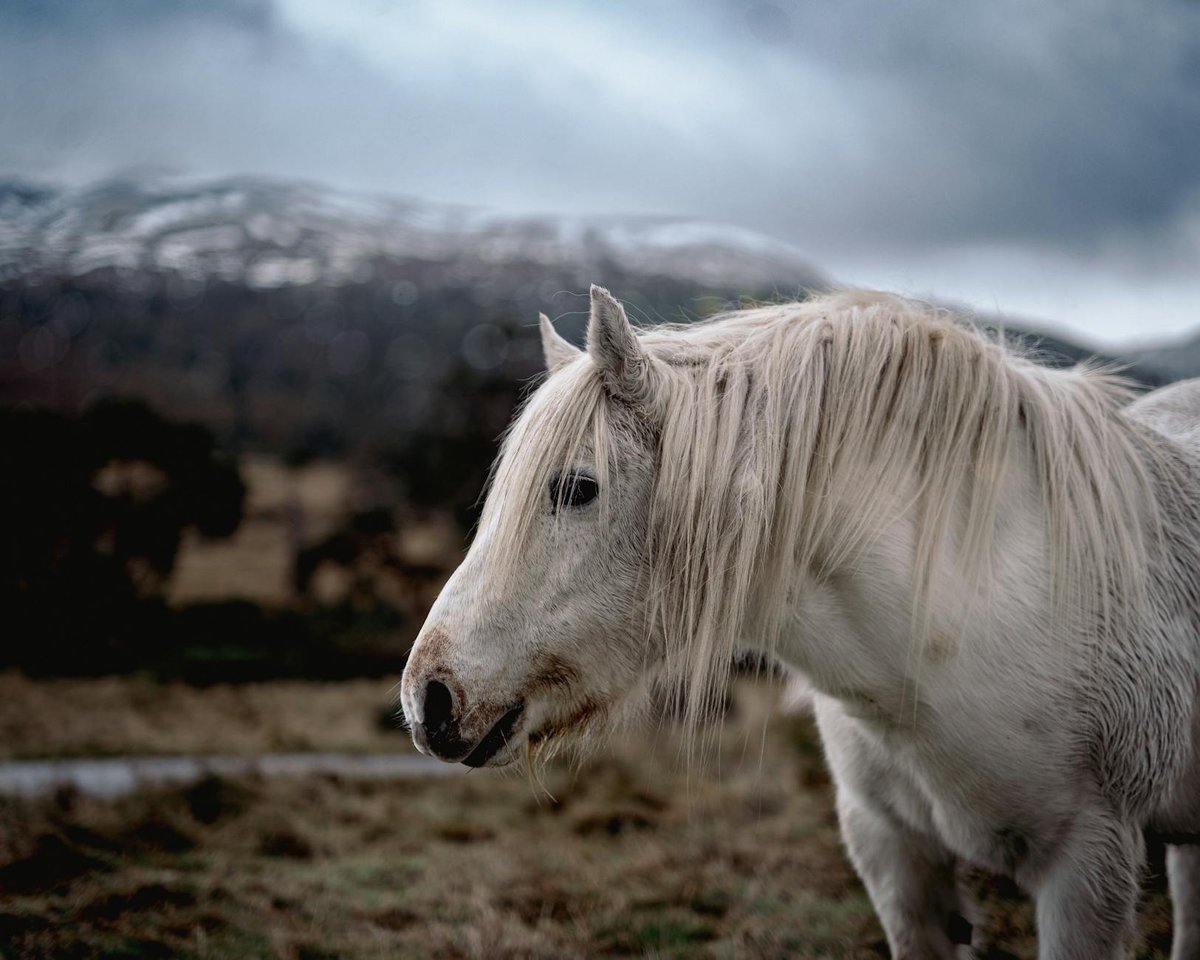 Cairngorms National Park