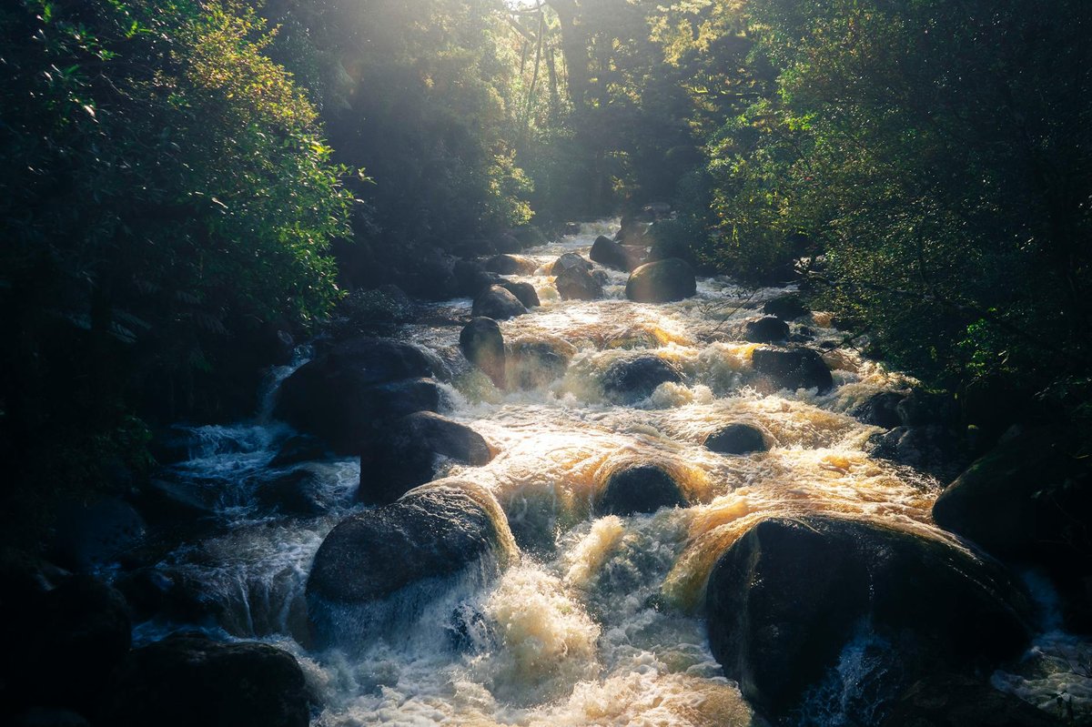 Ararawa Stream Falls
