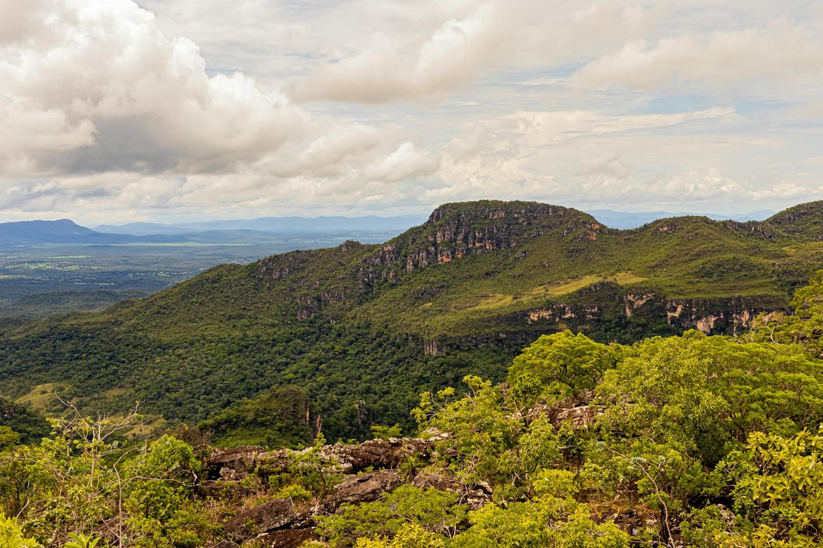 Chapada Ceral