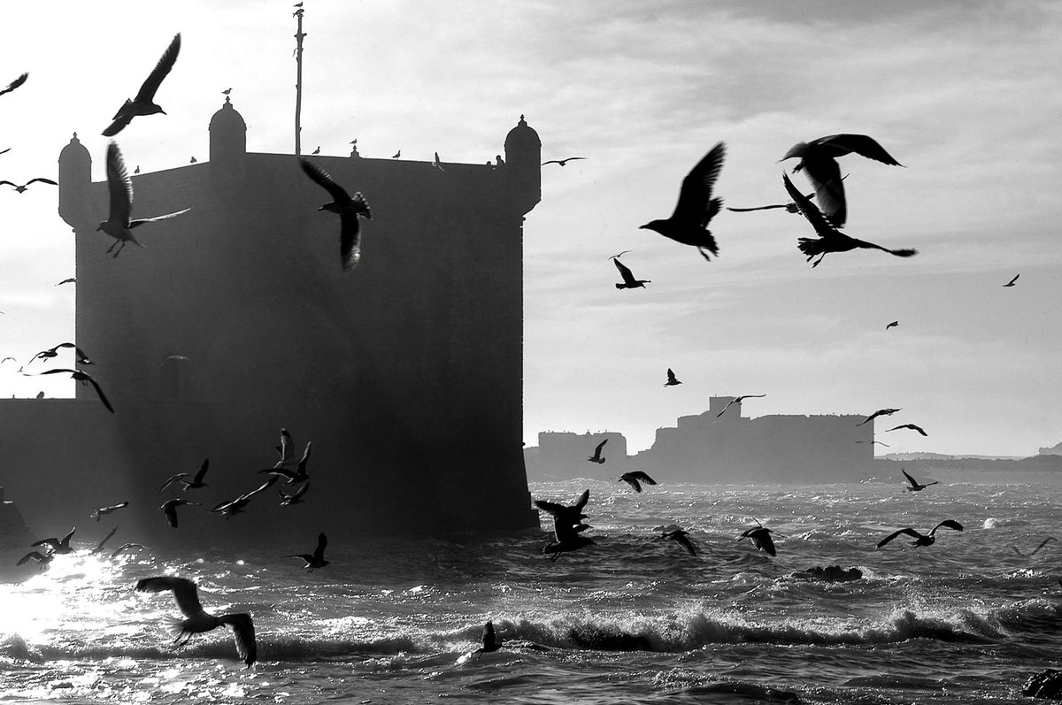 Sea Castle