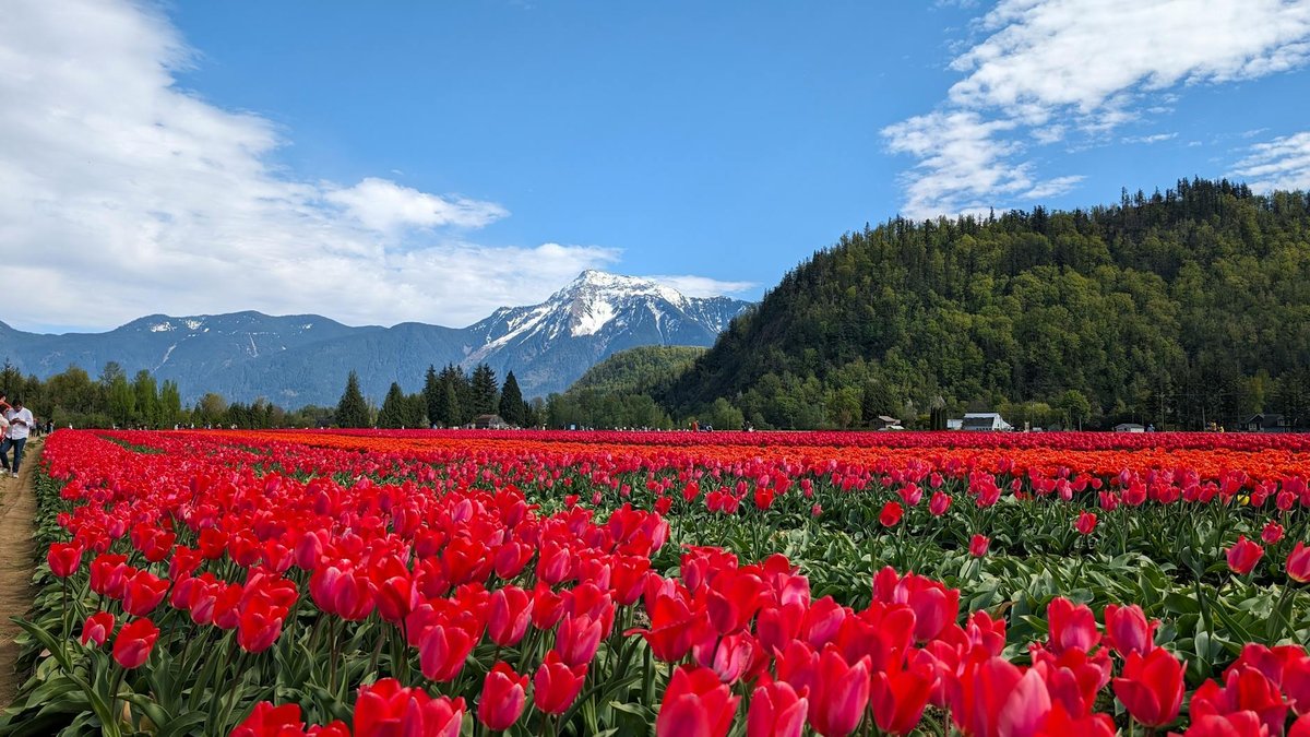 Agassiz Ice Cap