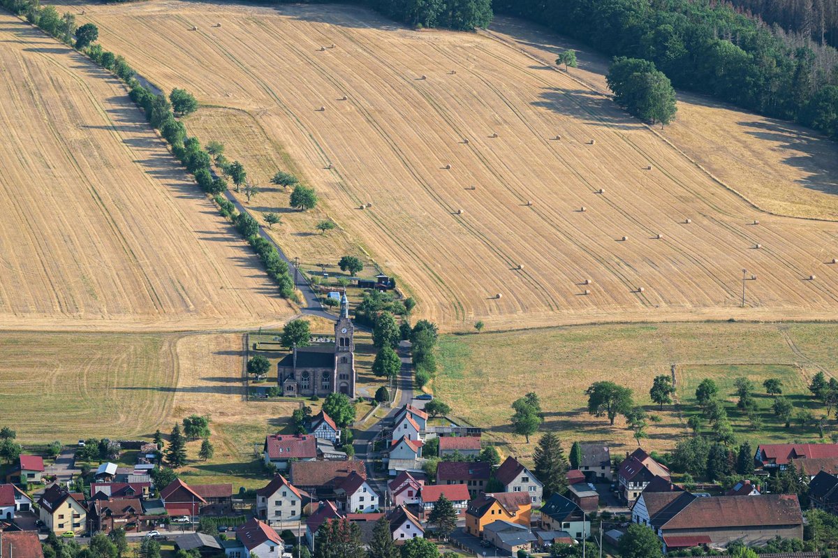 Hainich National Park