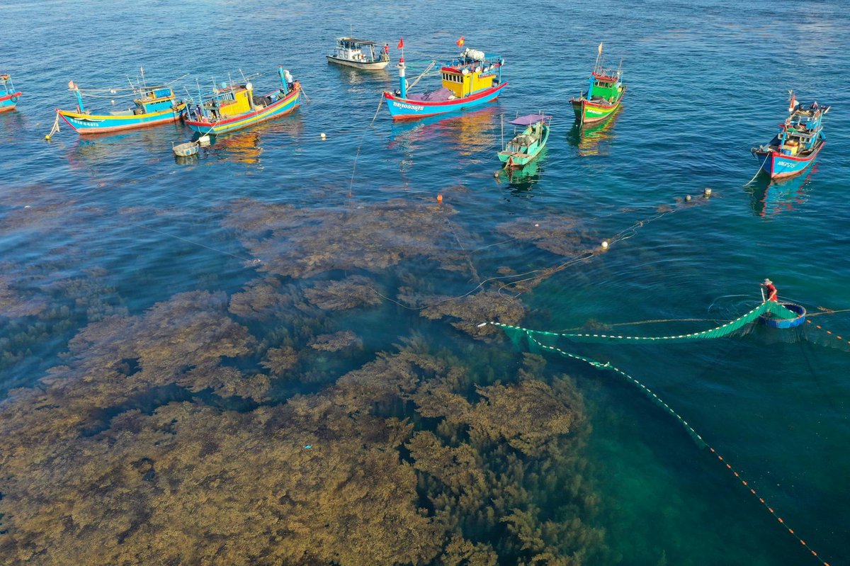 Thap Nhan, Tuy Hoa