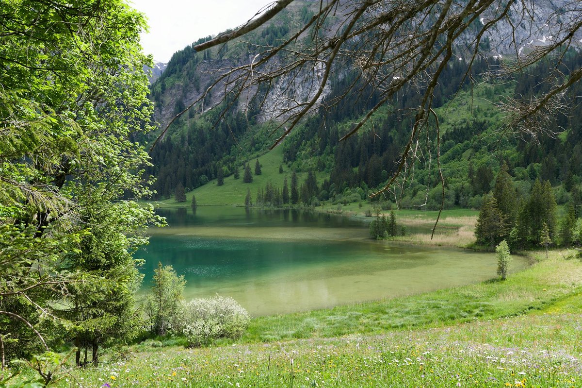 Lac des Joncs