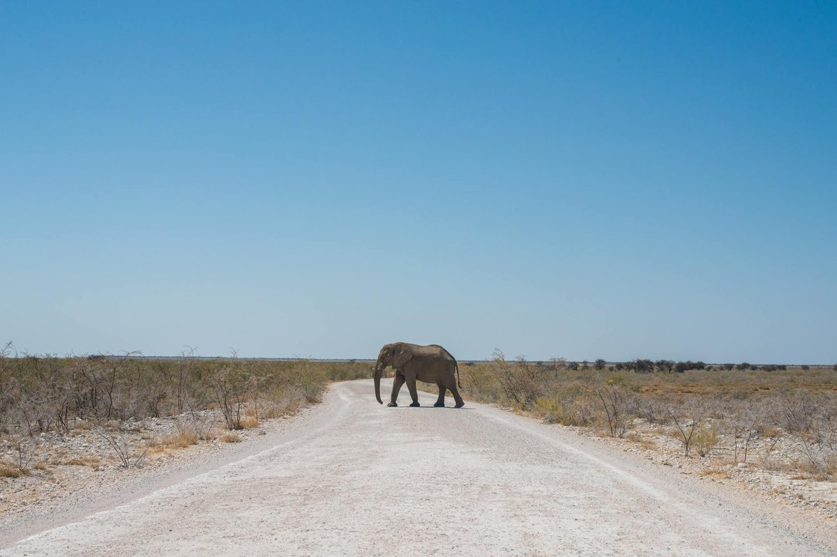 Etosha National Park