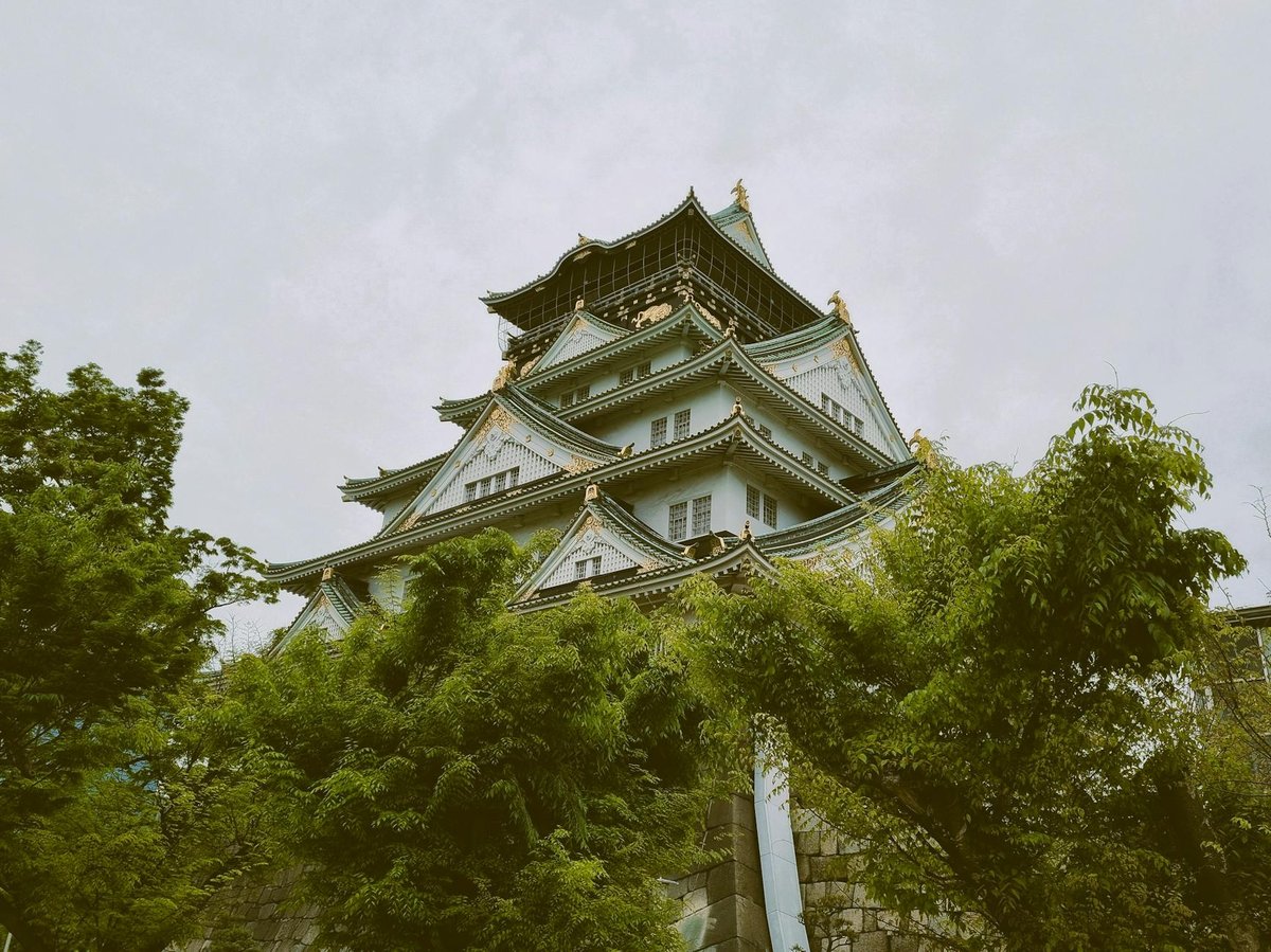 Takayasu Castle