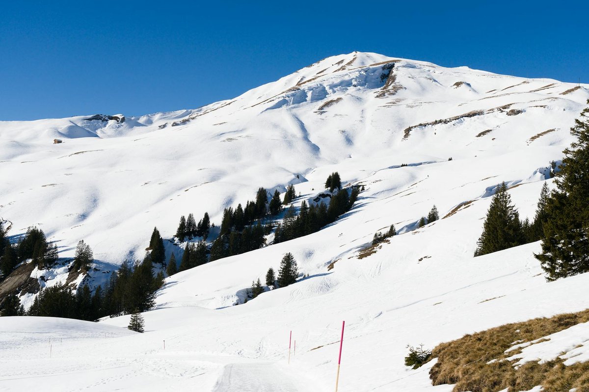 Albert Peak