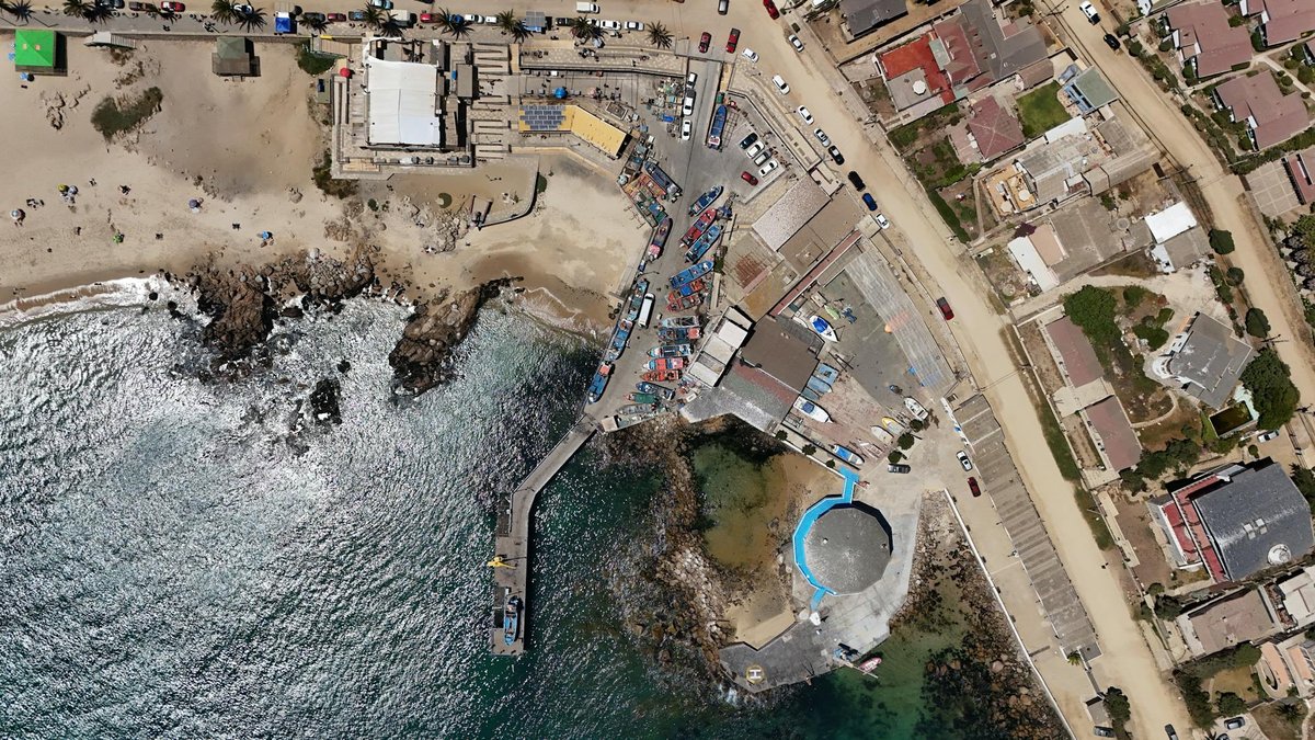 Cordón de Puntas Negras