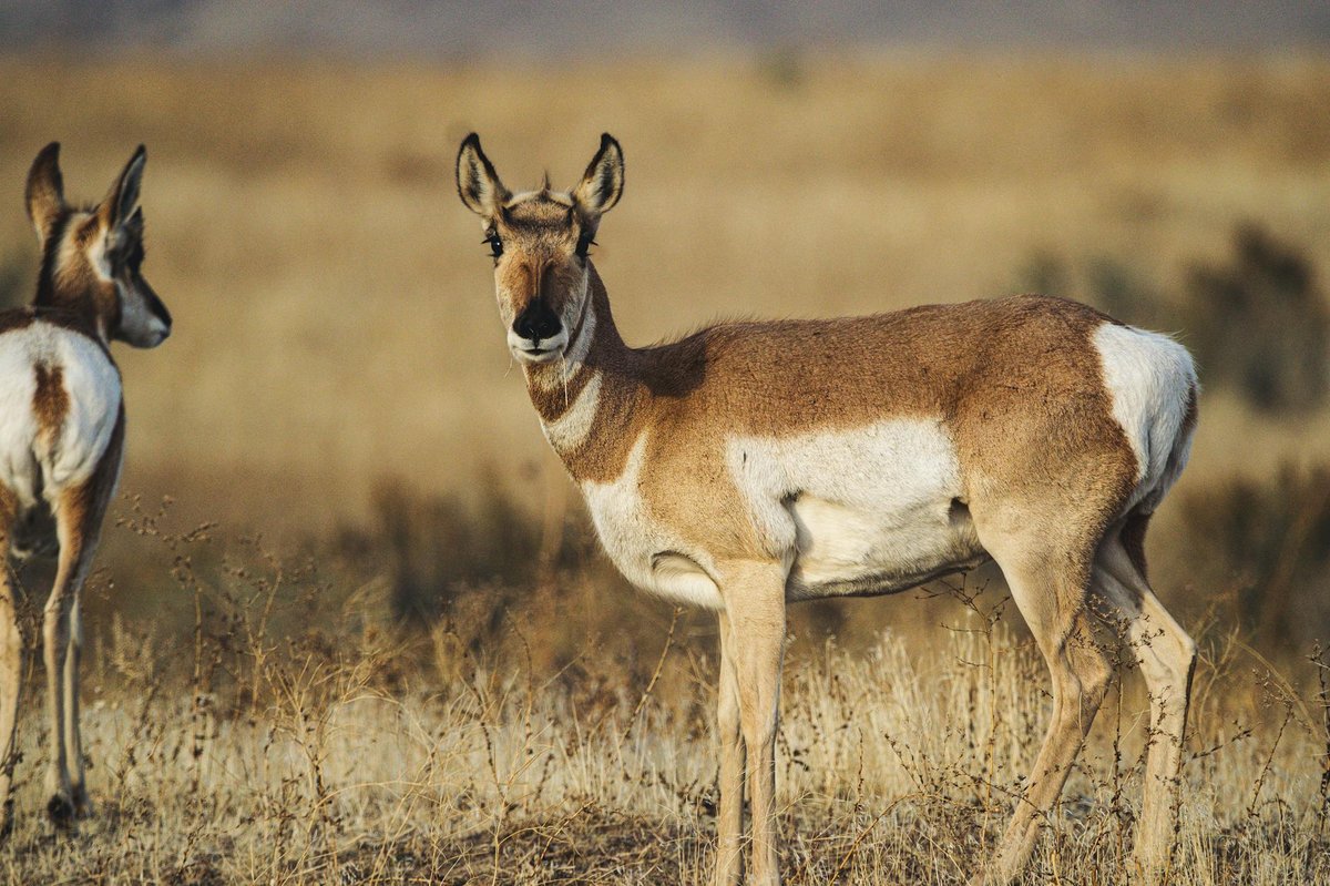 Sundarbans National Park