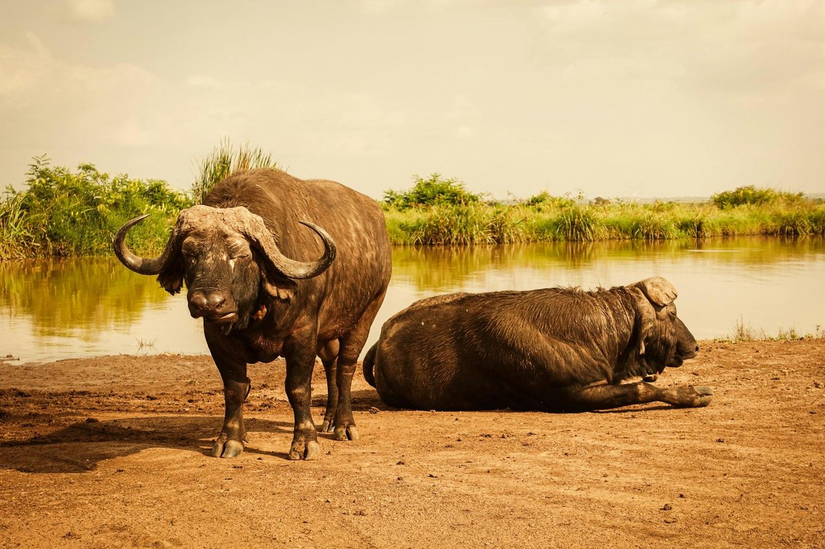 Rokua National Park