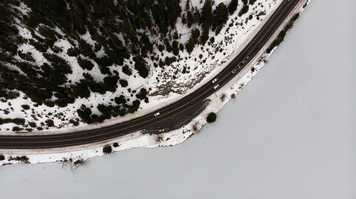 Morant's Curve