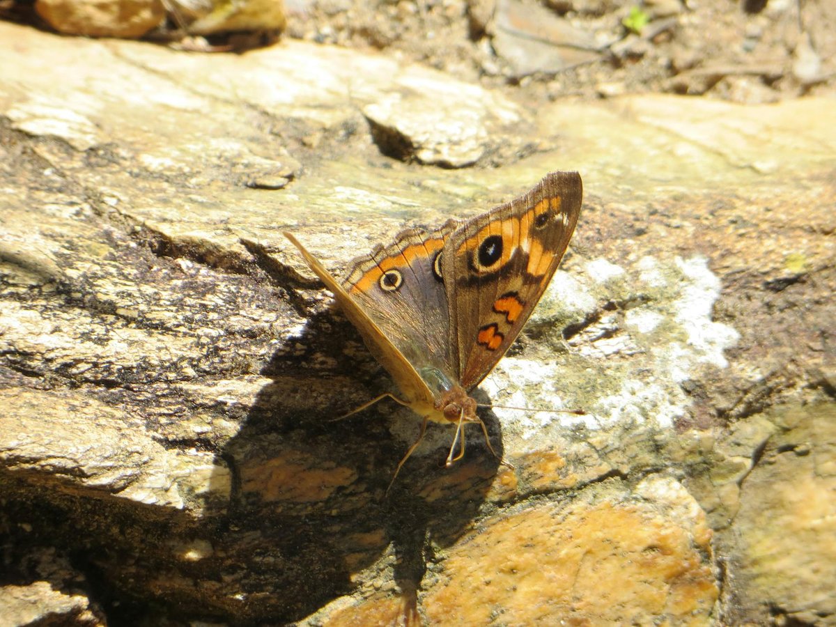 Cachoeira Boa Esperança