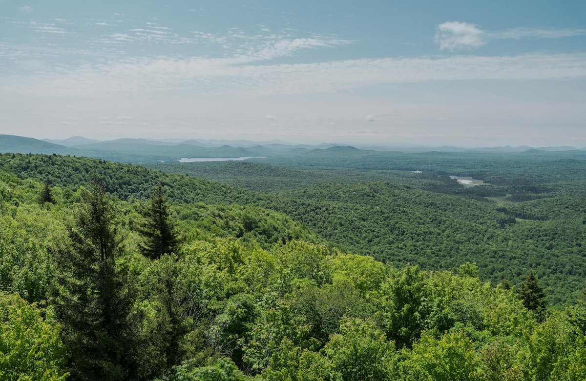 Mount Little Dick Fire Tower