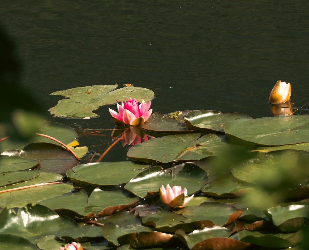 Lake Gölcük