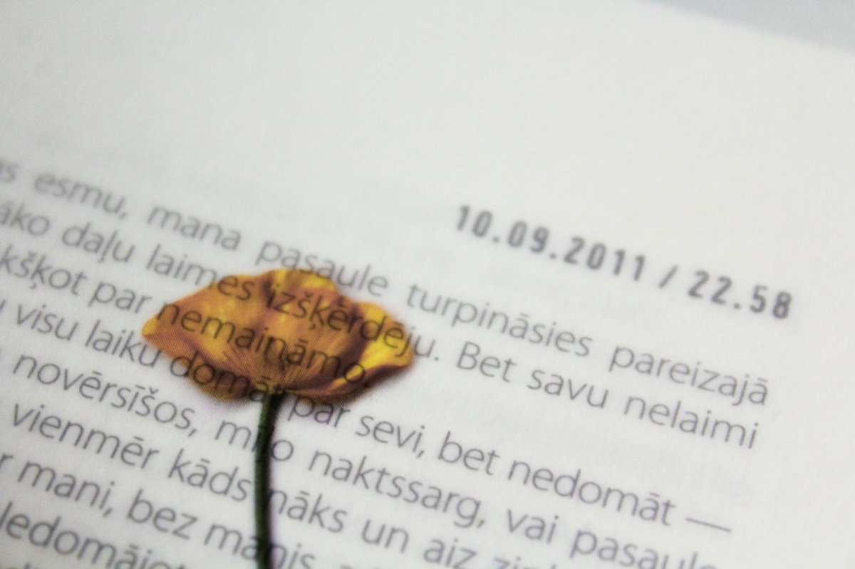 Antikuna