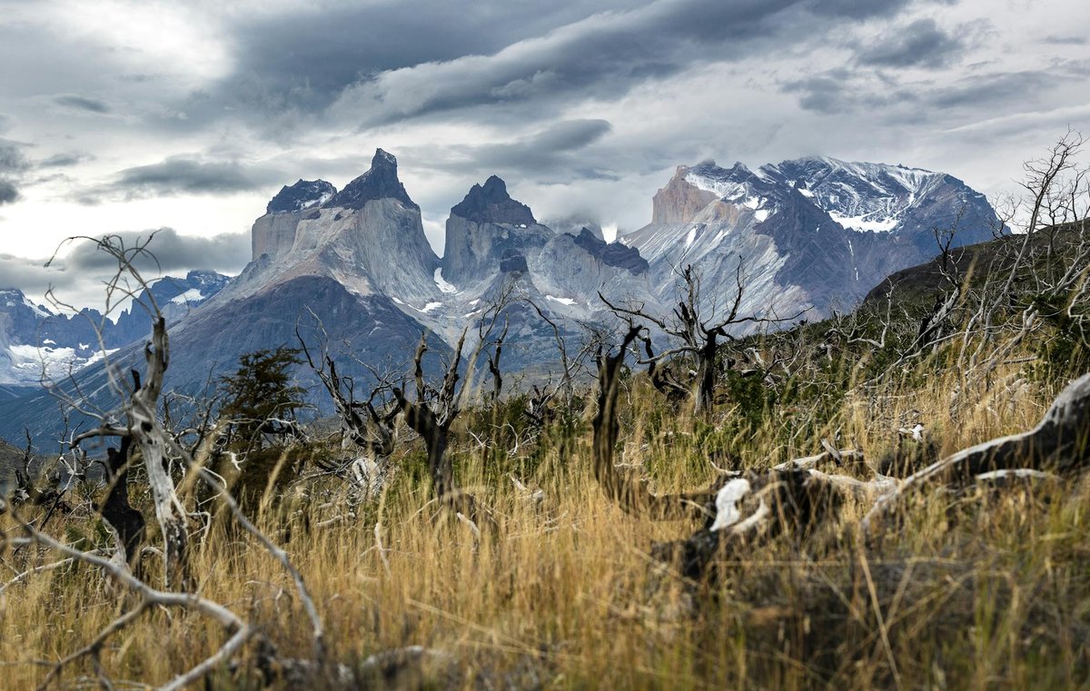 Cerro del Azufre