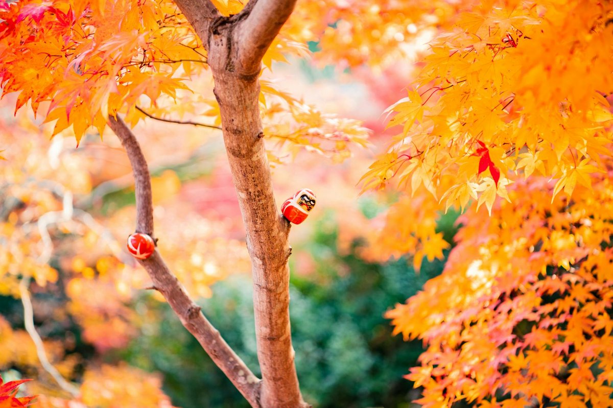 Daruma Falls