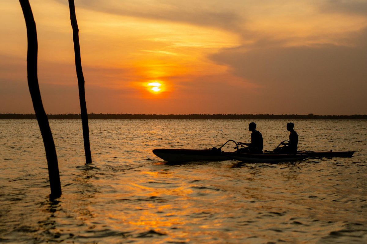 Ilha do Passarinho