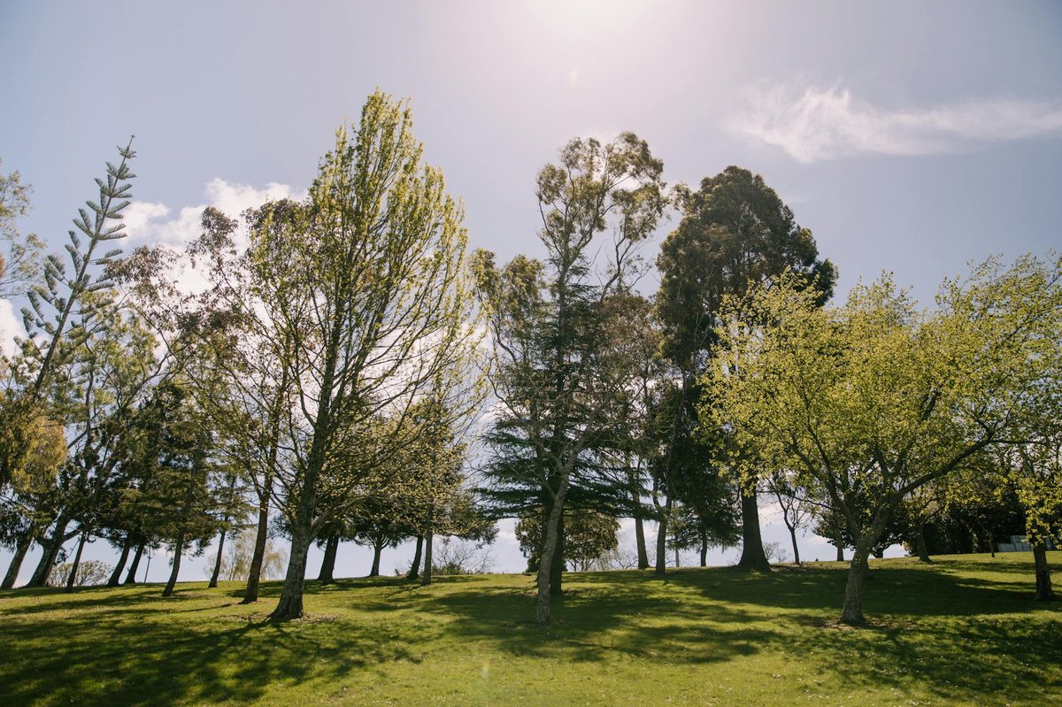 Bungaree