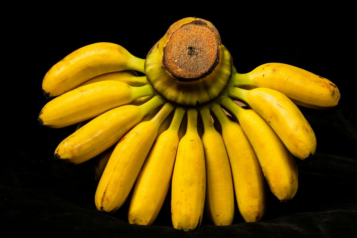 Banana beach