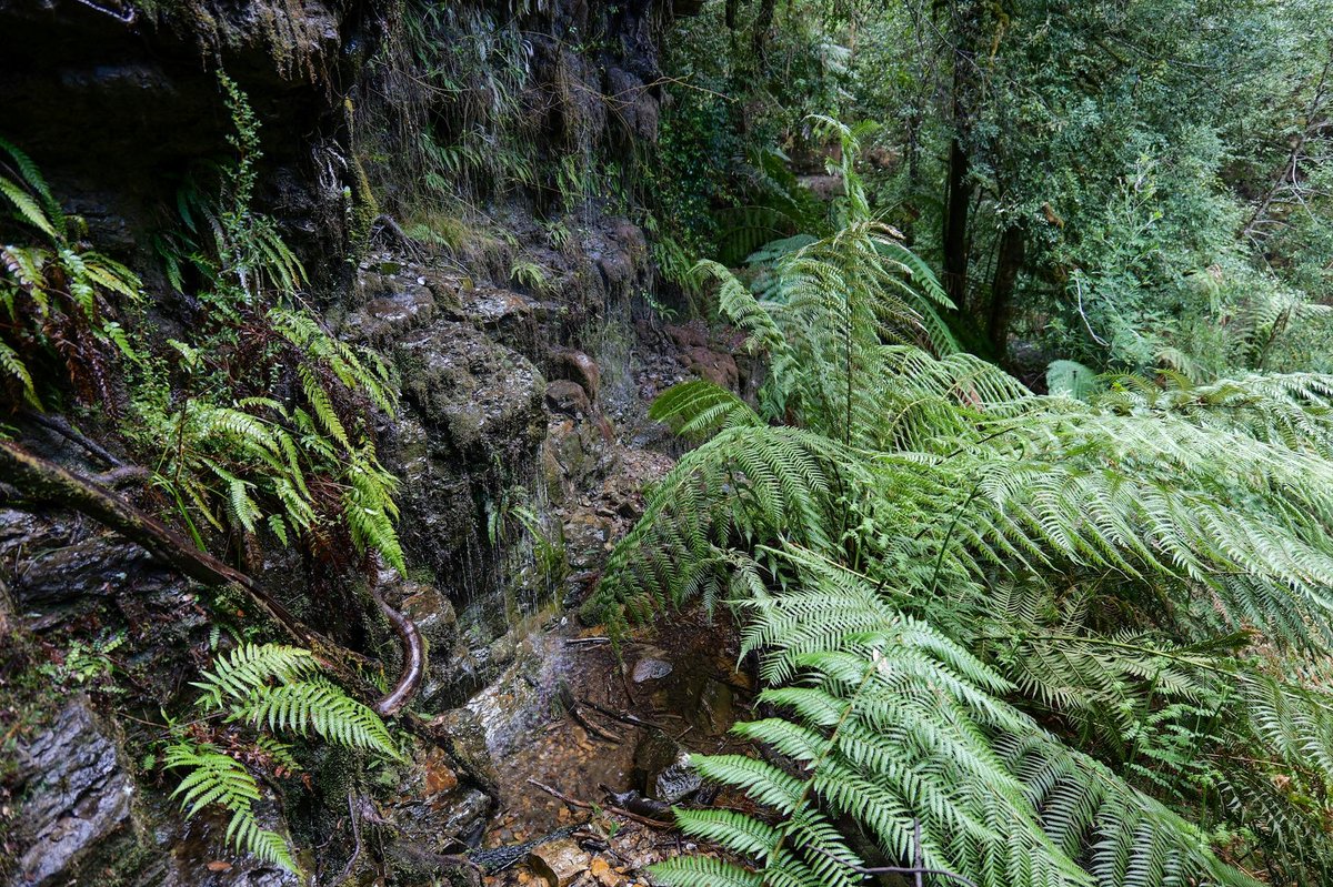 Schoßrinn-Wasserfall SW von Schoßrinn