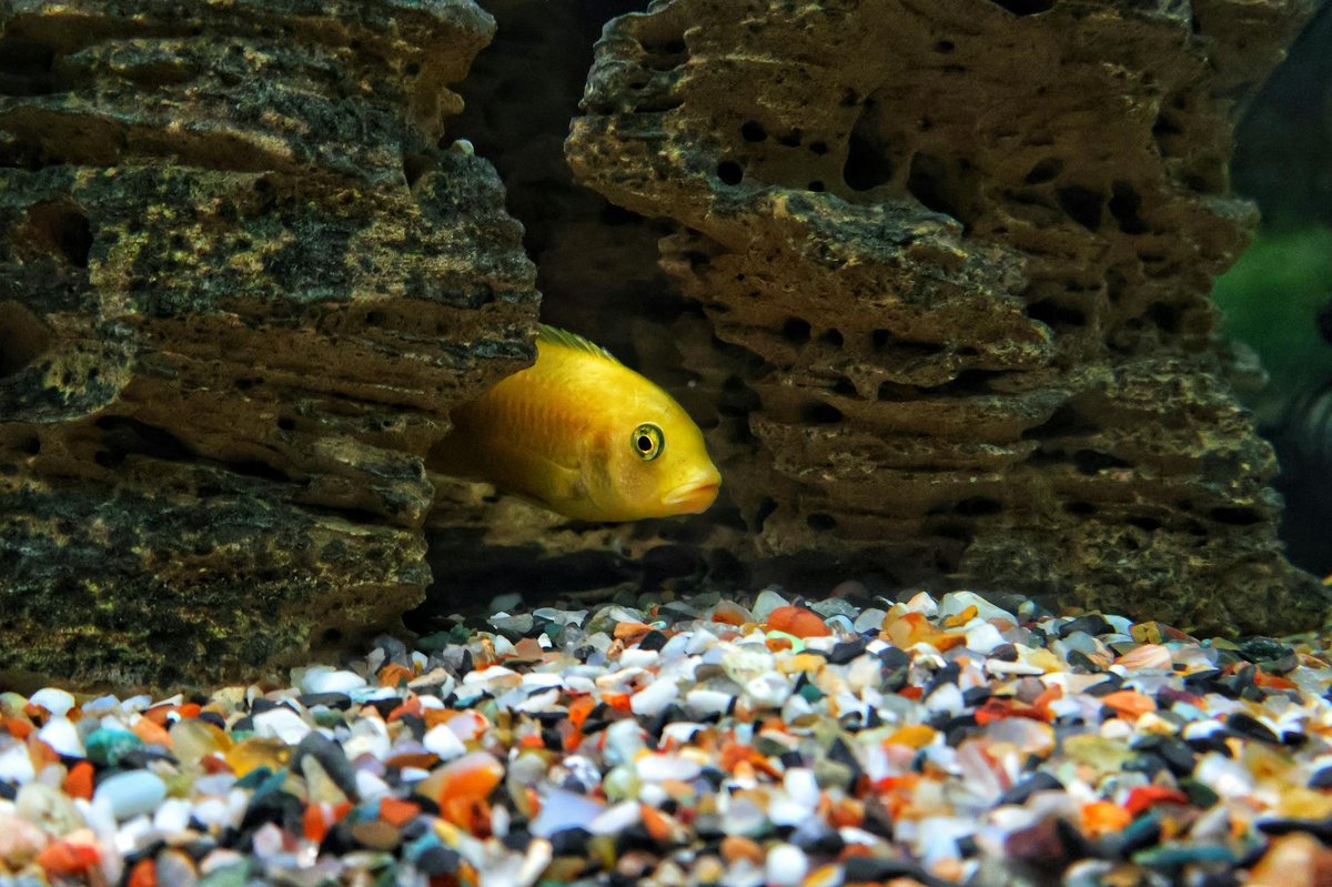 Tank Cave