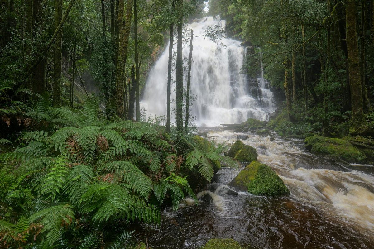 Boonoo Boonoo Falls