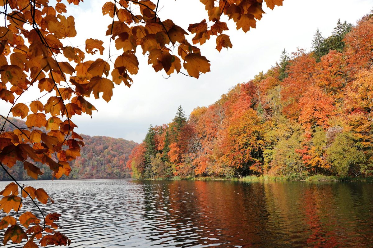 Red Lake