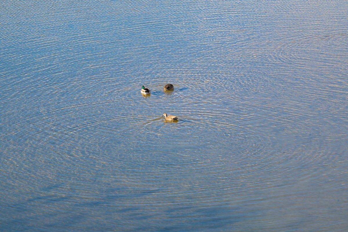 Lac de Pérolles