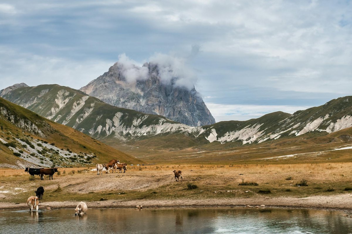 Gran Paradiso Glacier