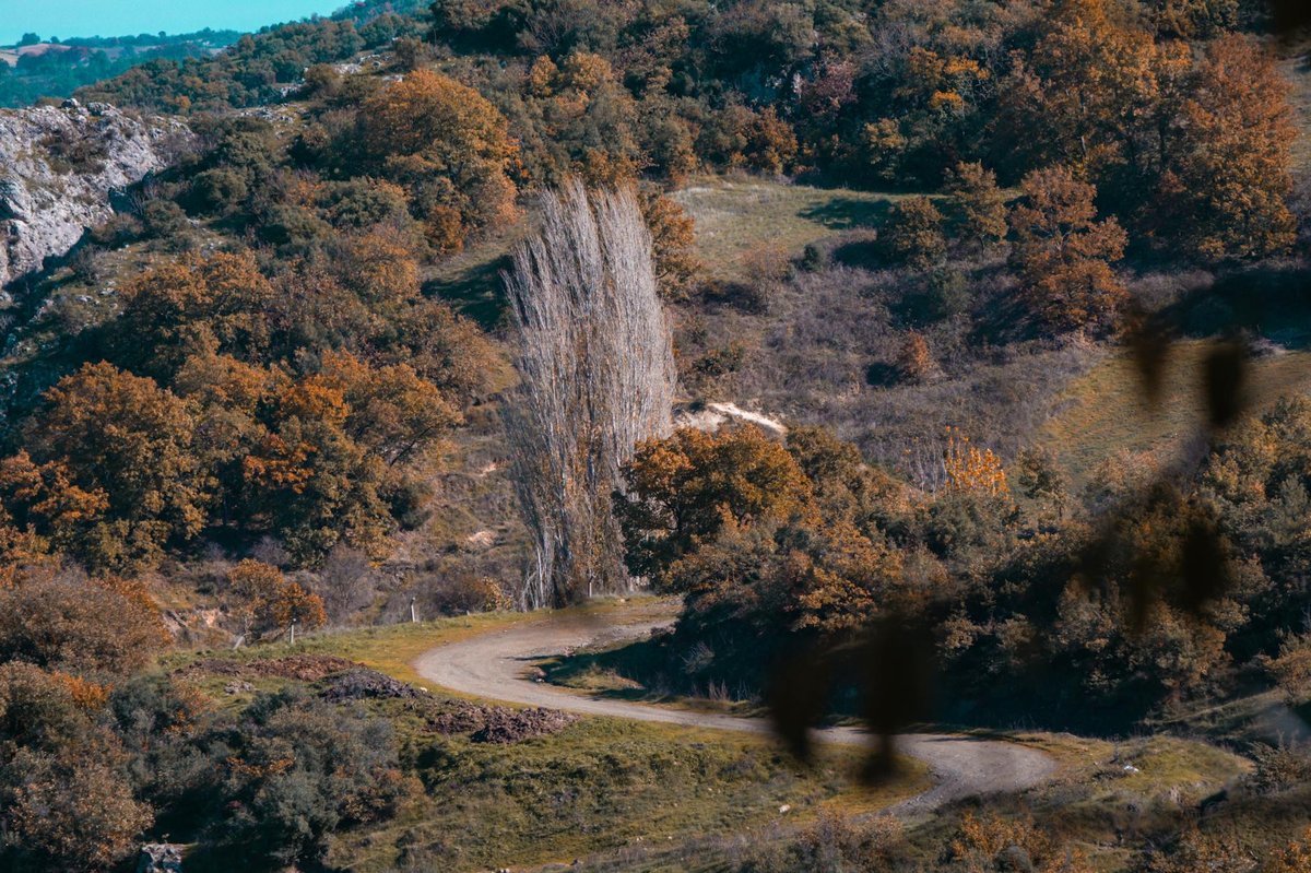 Wasserfall