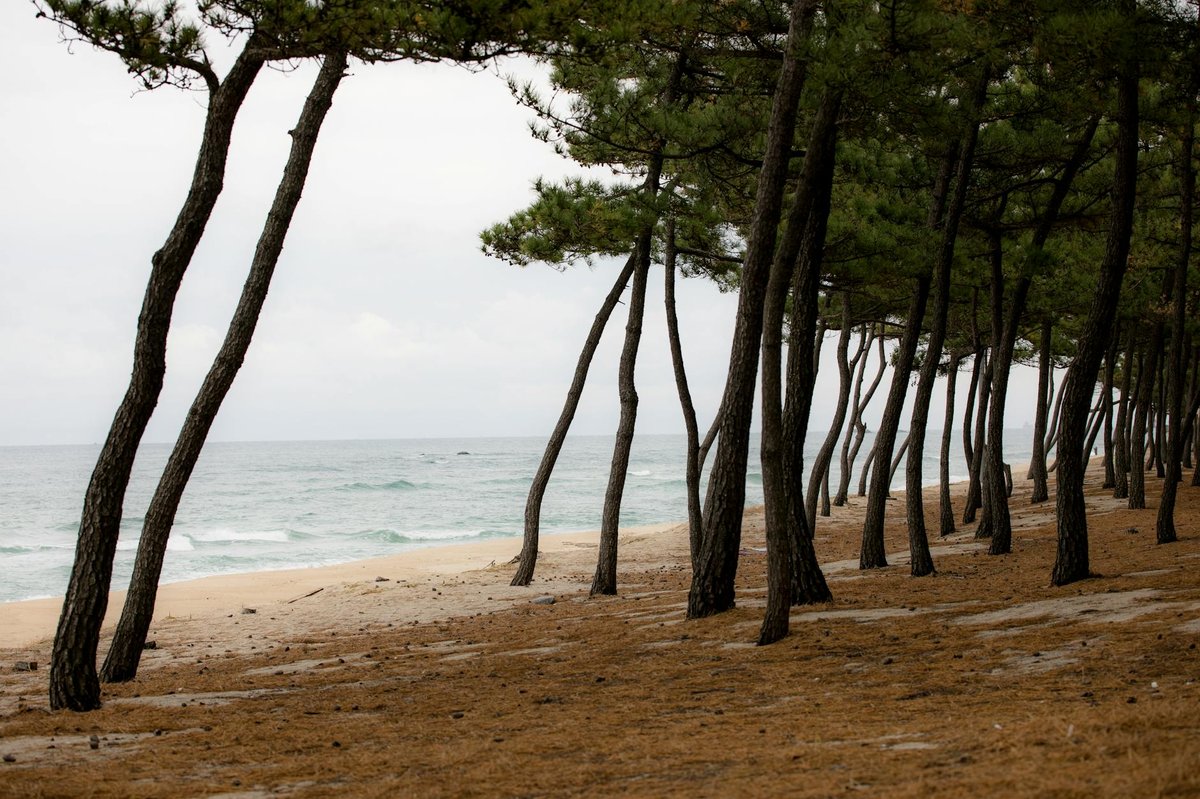 Jeongdongjin Beach