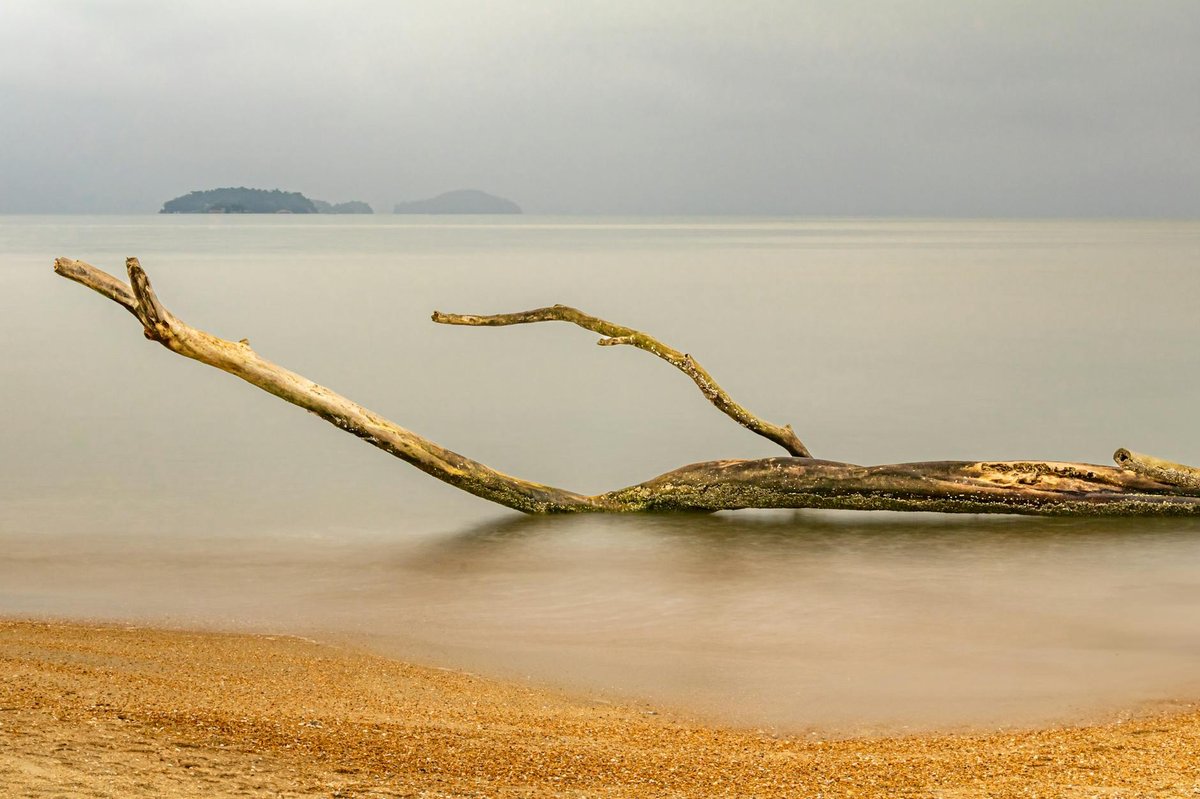 Serra da Bocaina National Park