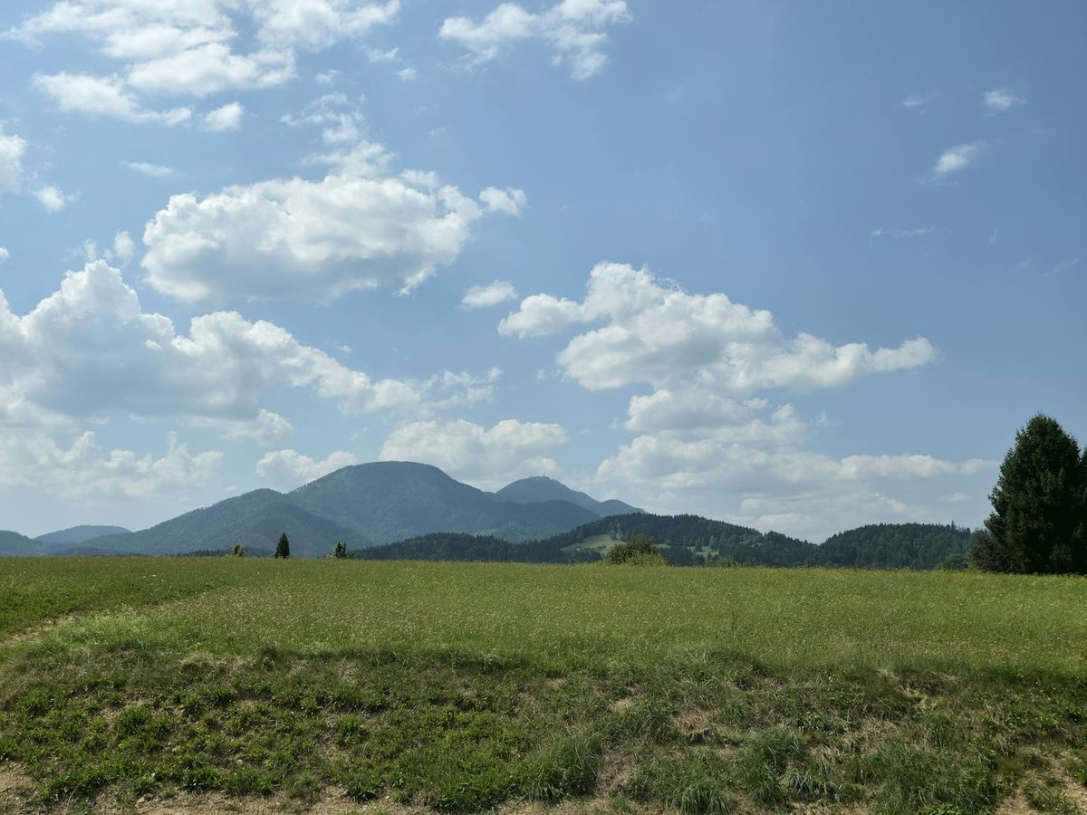Kozjak