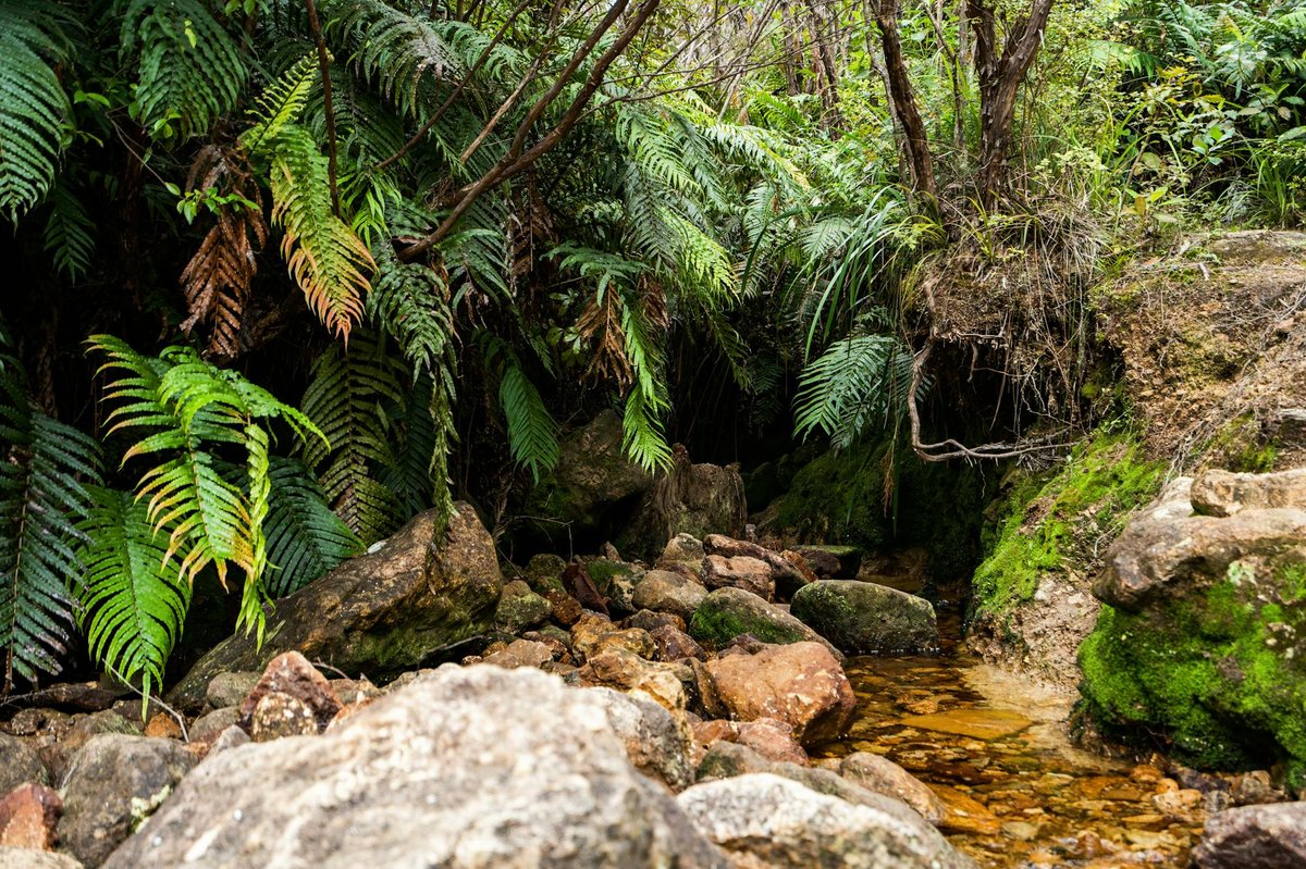 Camera Flat Waterfall