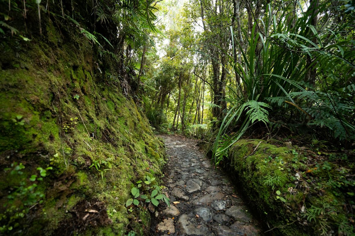 Kotukutuku Waterfall